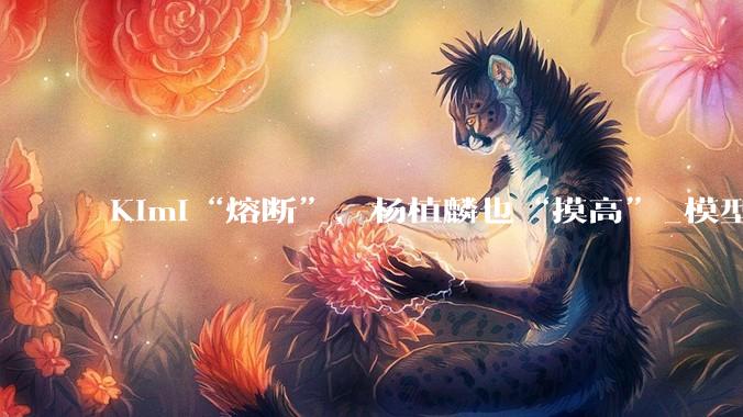 Kimi“熔断”，杨植麟也“摸高”_模型_用户_注意力