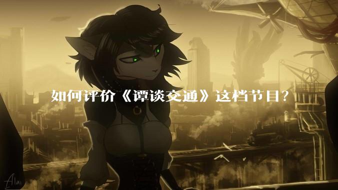 如何评价《谭谈交通》这档节目？