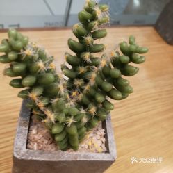 马鞍山雨山区面包饮品团购指南 价格、地址、营业时间及美食推荐